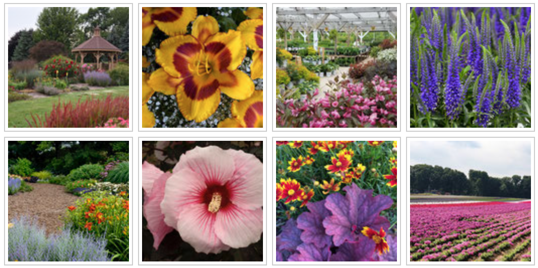 GardensWithZeel Zeeland Historical Society