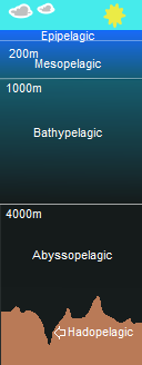 Marine Biology Marine Science Australia