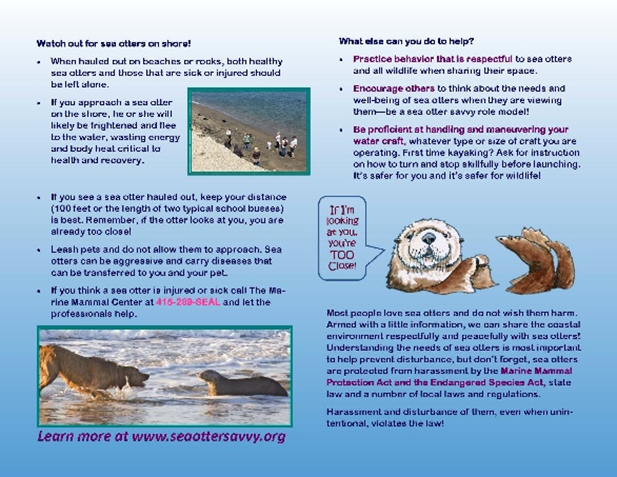 アーカイブ（2019年3月） - らっこちゃんねる | Sea Otter Channel