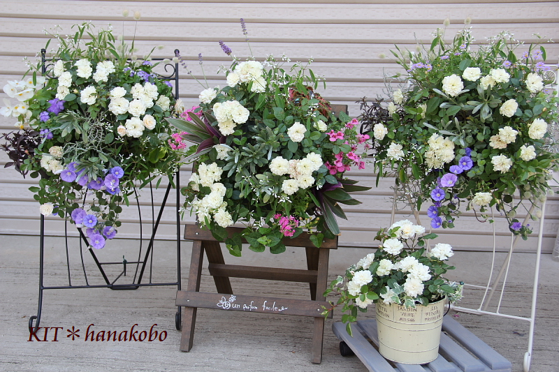 グリーンアイス みさきちゃん ななこちゃん バレリーナ ハンギングバスケット 寄せ植えのｋｉｔ 花工房 広島県福山市