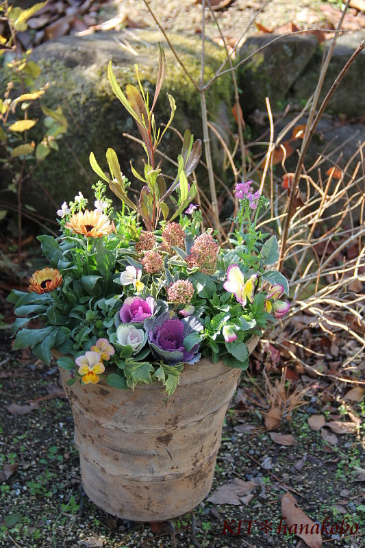 2012年11月 - ハンギングバスケット・寄せ植えのKIT＊花工房