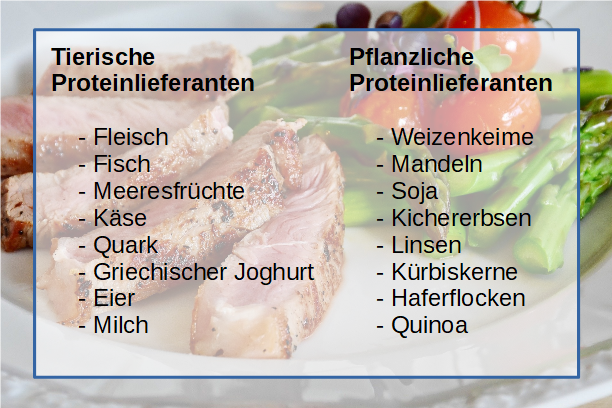 Protein Wichtig Für ältere Menschen - österreich www.anysci.de