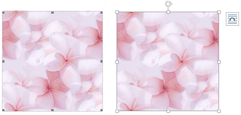 画像挿入における 挿入 タブからと ドラッグとの違い Word Excel Powerpoint Accessのコツこつ 画像挿入における 挿入 タブからと ドラッグとの違い Word Excel Powerpoint Accessのコツこつ