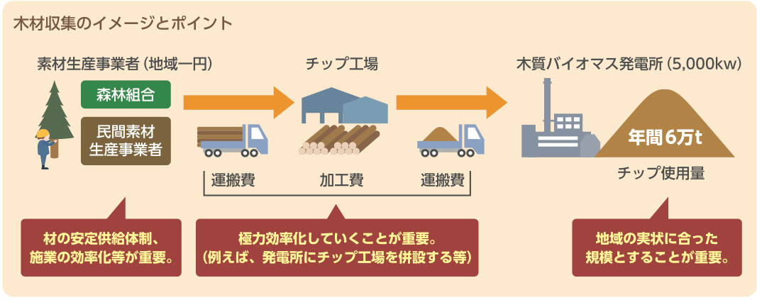 発電施設への木材収集 研修案内