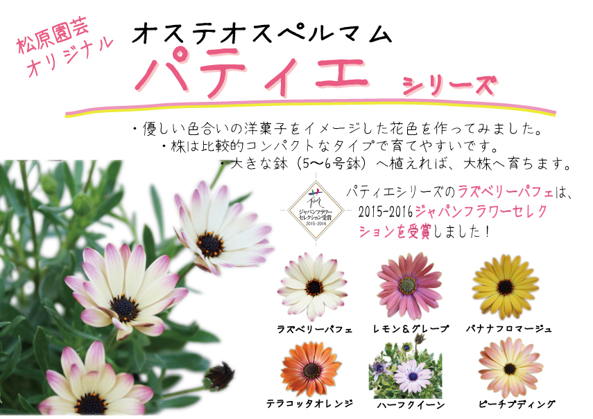 すべての美しい花の画像 最高かつ最も包括的なオス ティオ スペルマ ム