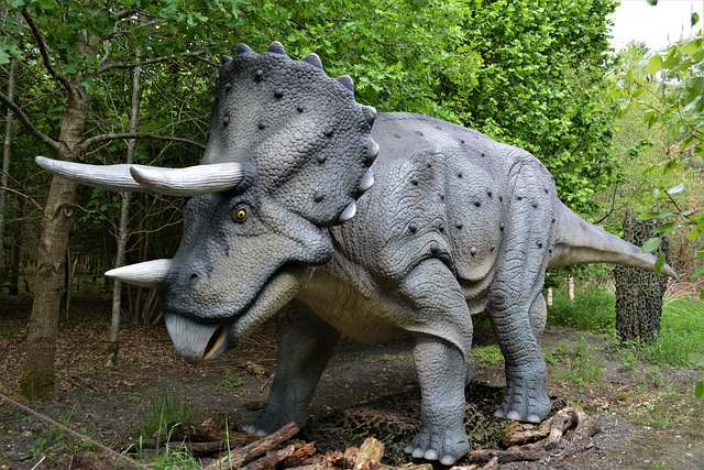 Dinoklasse | 1b