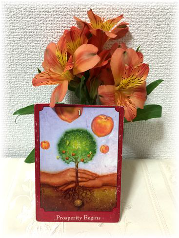 たまゆら占い（藍）サイキックタロットカード 赤1～9 メッセージ