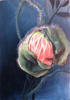 Werden und Vergehen (Papaver orientale) 2014 Öl auf Sperrholztafel 21x14.8 