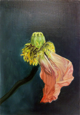 Werden und Vergehen (Papaver orientale) 2014 Öl auf Sperrholztafel 21x14.8