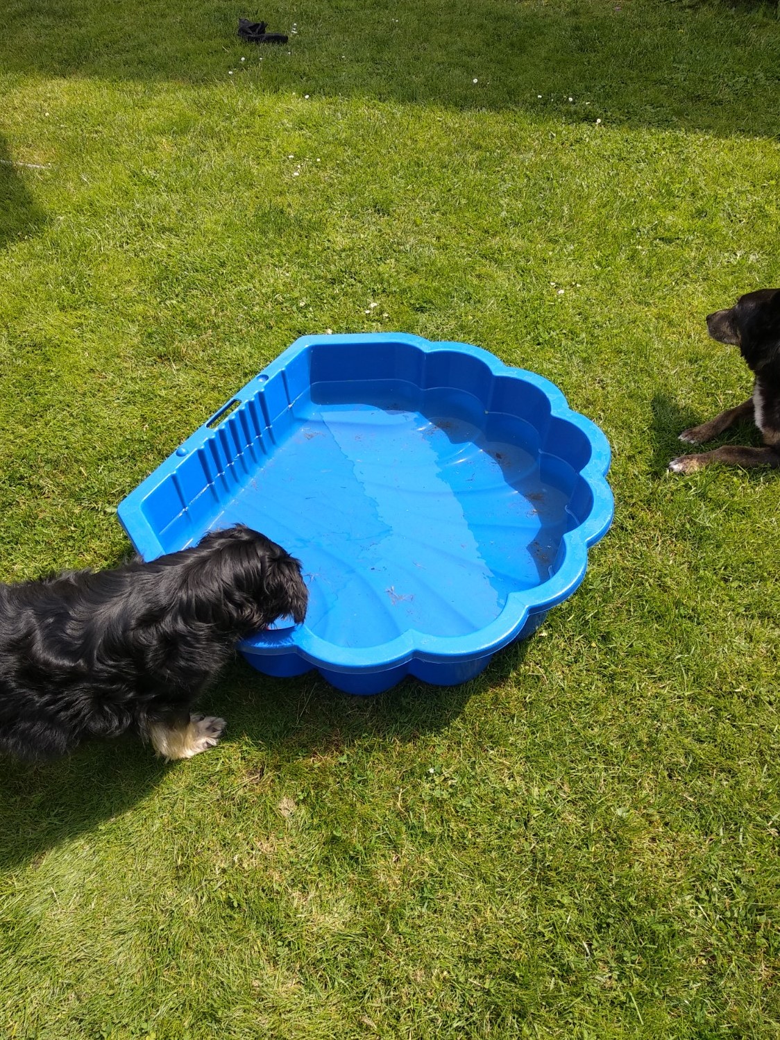 Abkühlung im Sommer - Wasser für Nichtschwimmer