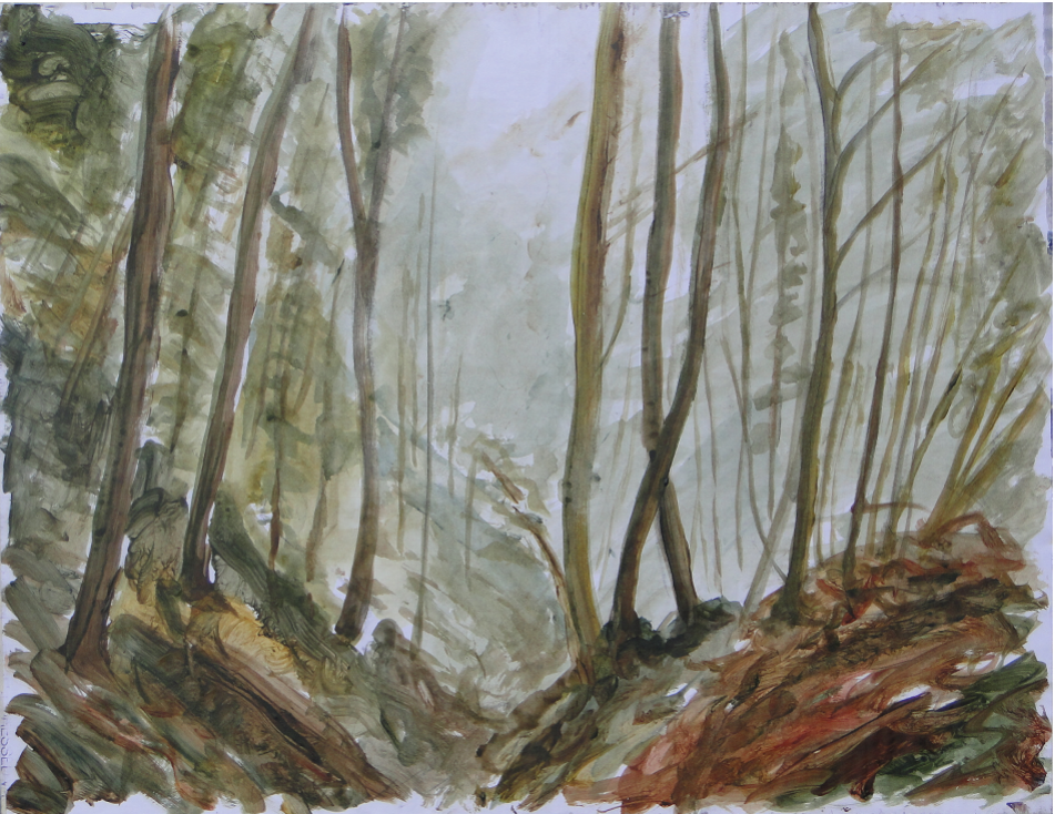 Forêt de Fontainebleau, acrylique sur papier marouflé sur toile, 50 x 65 cm  *
