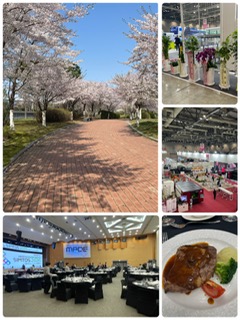 いざ韓国！