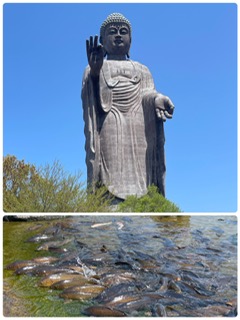 牛久大仏