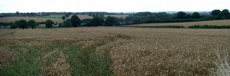 Looking down on the valley of Langley Brook from Lindridge Road