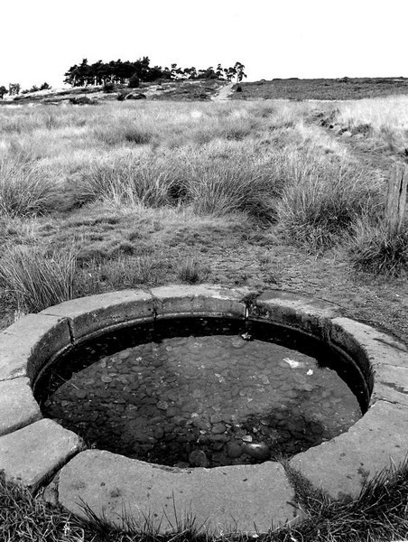 Rowtons Well. Image reproduced courtesy of Keith Berry whose on-line collection of photographs may be accessed by a direct link on the Acknowledgements page.