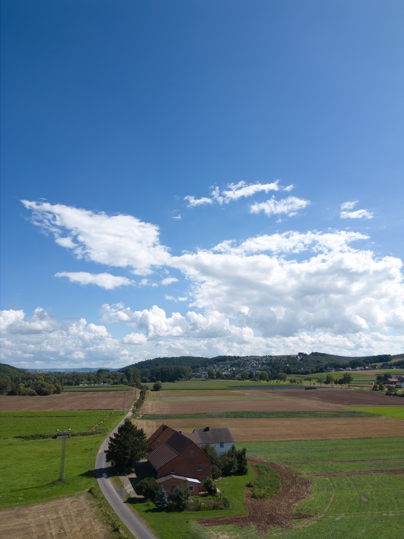 Vorher