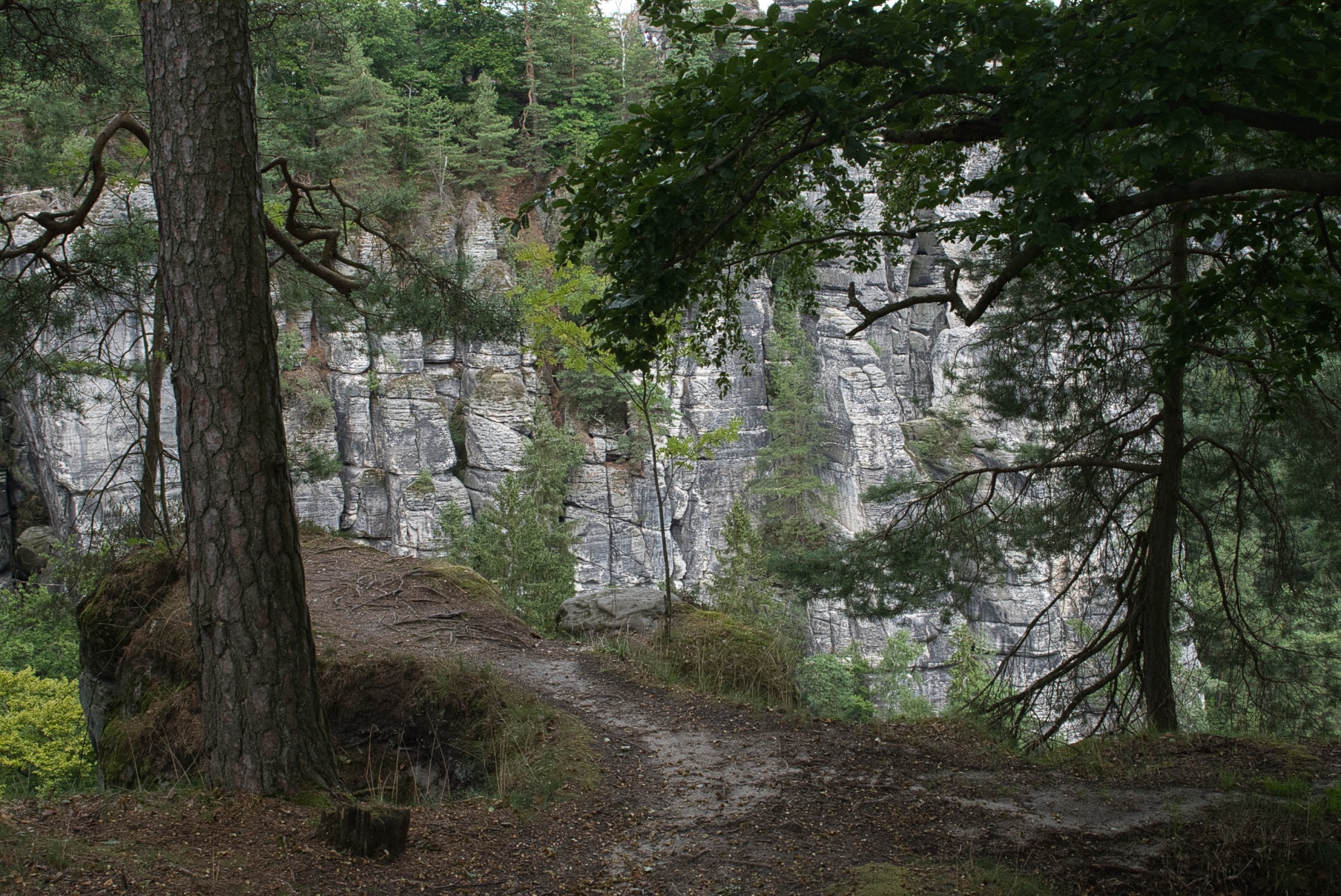 Vorher