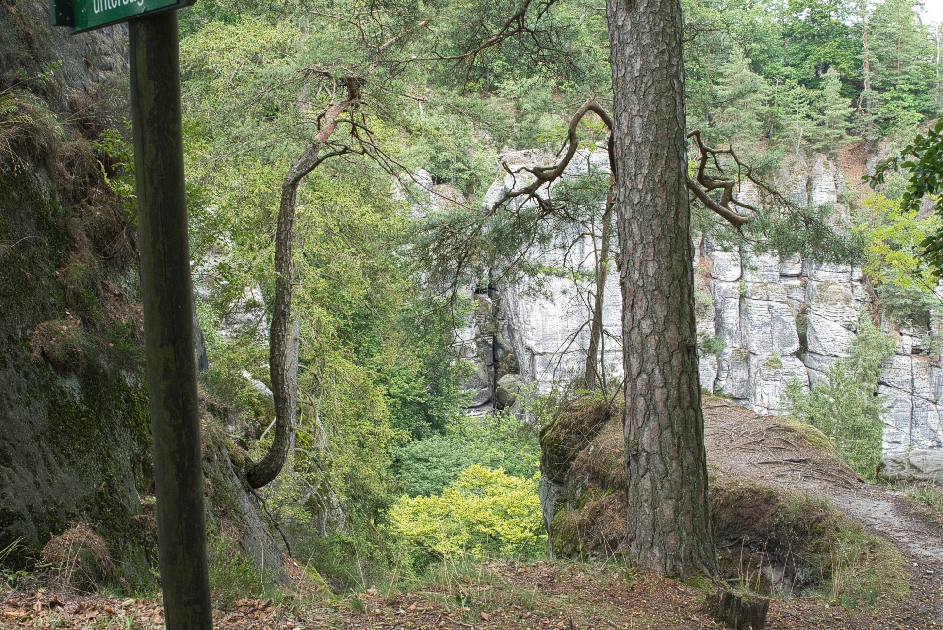 Vorher