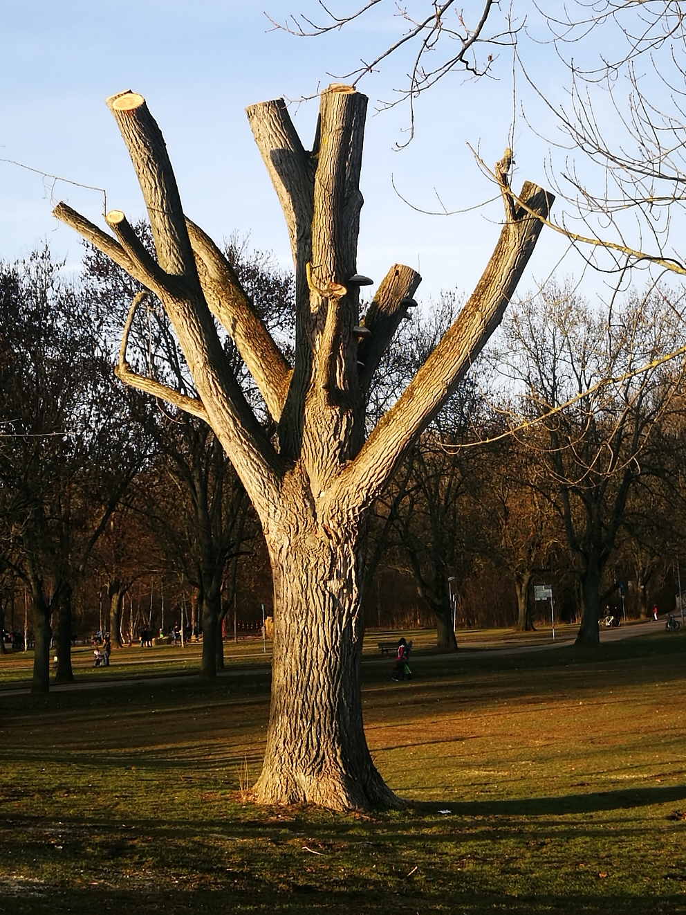 Stadtpark