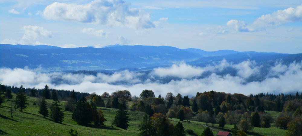 Blick über den Rücken des "Mont d'Or"