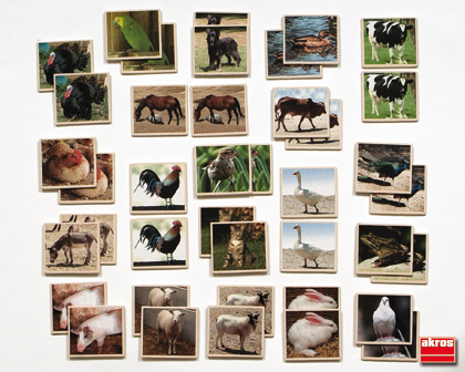 collage de animales de granja reales
