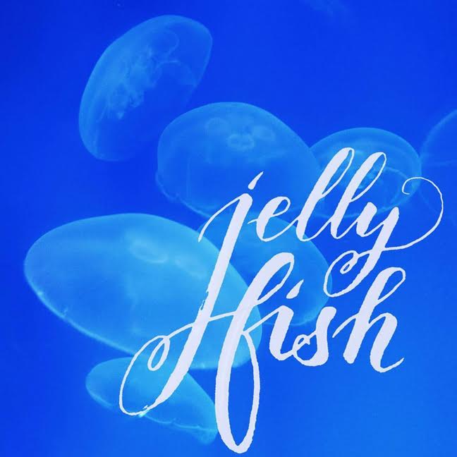 Letter Lovers derherrlehrer: Handlettering jelly fish