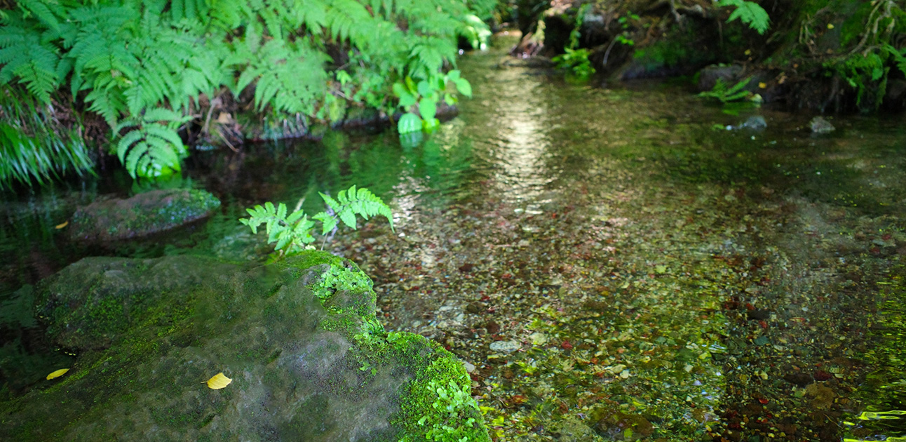 活性水装置販売を始めました