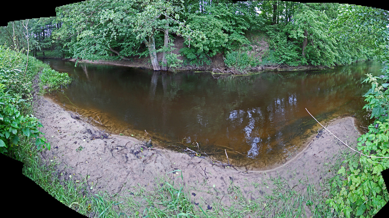 nach den zahlreichen, starken Niederschlägen des Winters und Frühjahrs hat sich am Gleithang des Kolk eine Sandbank gebildet / der Prallhang wurde weiter abgetragen (ganz links: Einmündung Höftgraben) / 27.6.13