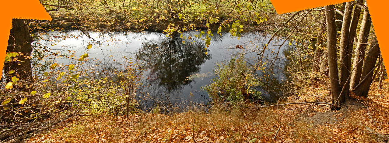 Kolk unter Prallhang, vom linksseitigen Ufer oben (Panorama-Montage) / 31.10.12