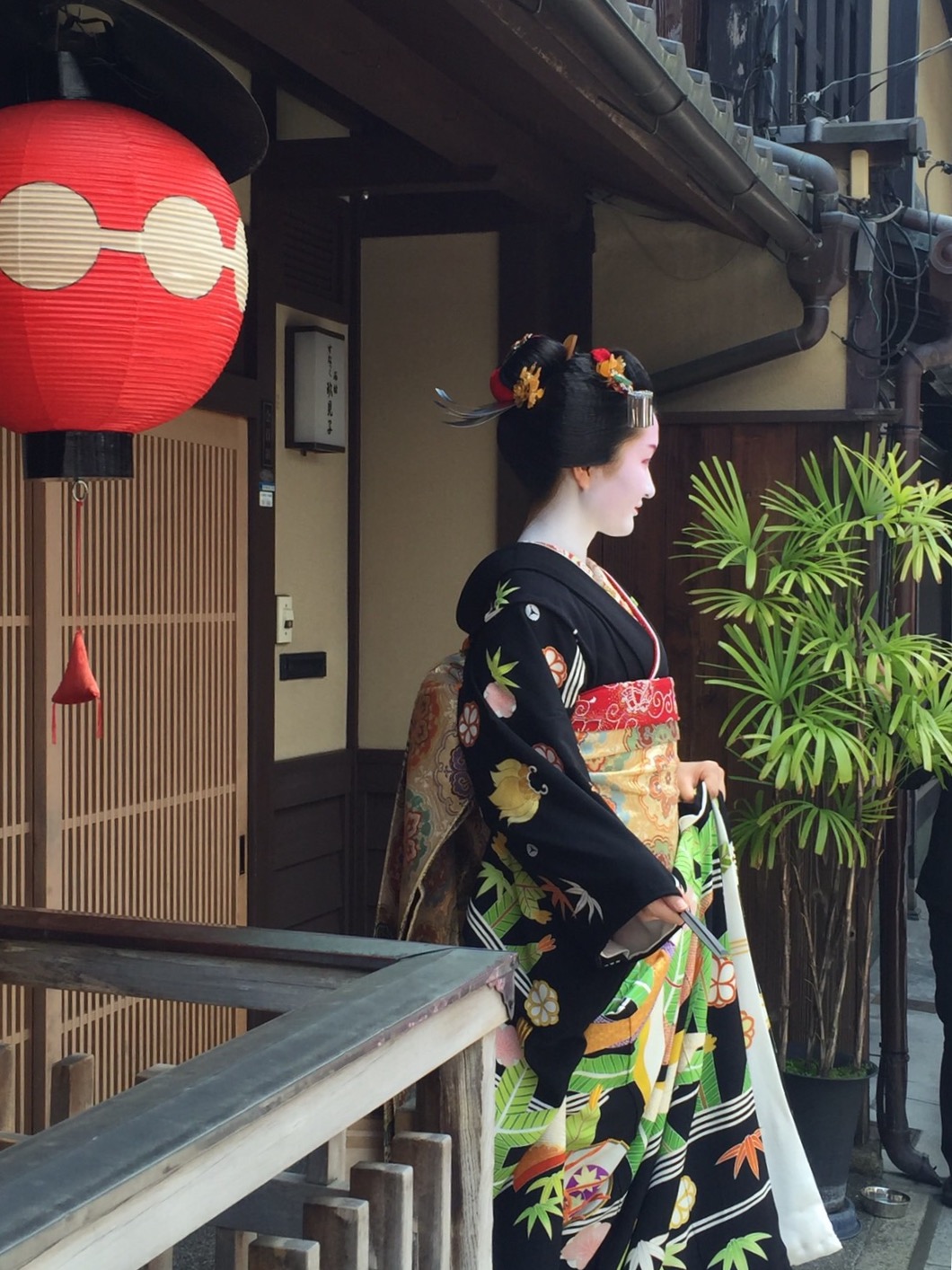 舞妓店出し前　見習いさん半玉さん半だらり帯　付け帯 舞妓店出し前見習いさん半玉さん半だらり帯付け帯