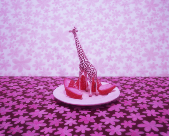 plate of the day 36.3x45cm 