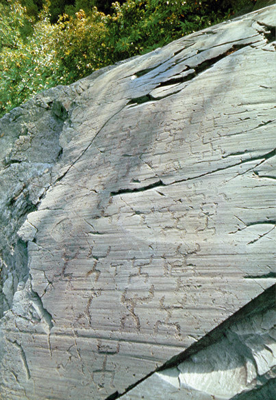 Graffito rupestre con oranti, Incisione rupestre, Parco nazionale delle incisioni rupestri (Naquane)