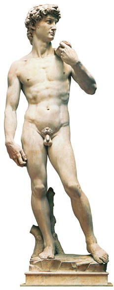 Michelangelo Buonarroti, David, Scultura a tutto tondo in marmo, 1504, Galleria dell'Accademia, Firenze