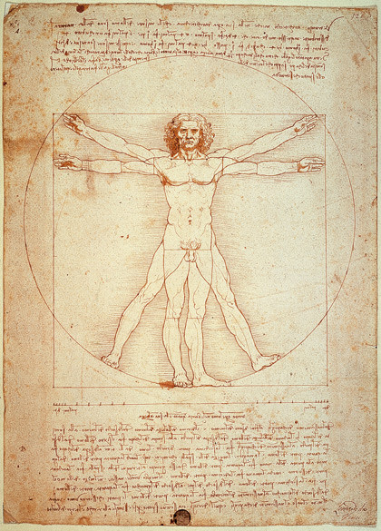 Leonardo da Vinci, Le proporzioni dell'uomo inserite nella forma del quadrato, Disegno, XV sec.