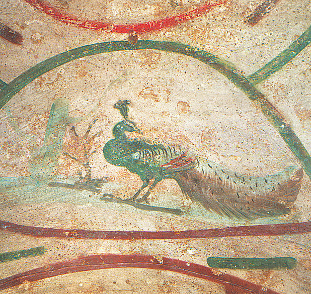 Catacomba di Santa Priscilla: il Pavone, Pittura murale, Inizio del IV sec. d.C., Catacomba di Santa Priscilla (Roma)