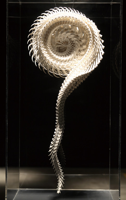 Motohiko Odani, "Viper", 2007