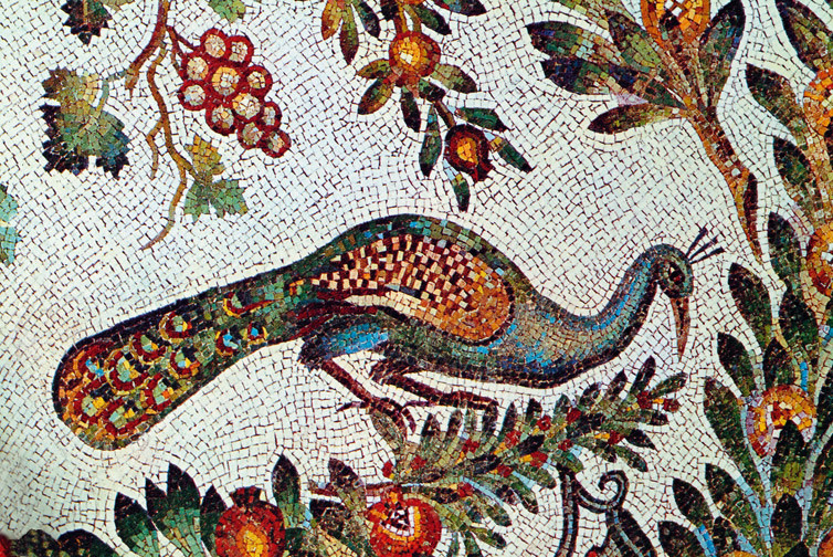 Il pavone, Mosaico, Mausoleo di Santa Costanza (Roma)