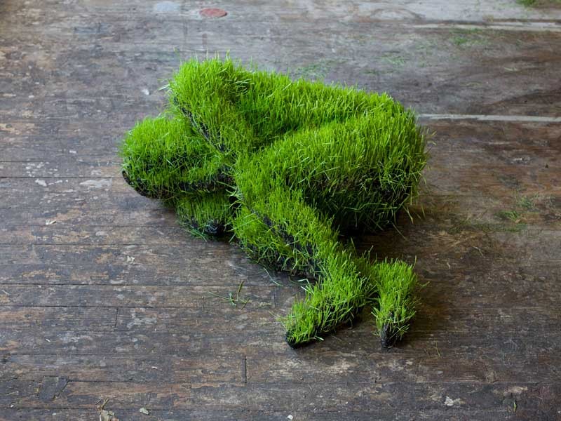 Mathilde Roussel Giraudy, "Life of grass"