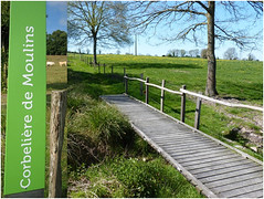 passerelle dans prairie Ferme COUTANT And Cow à Mauléon 79 respect de la biodiversité et de l'environnement