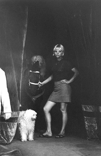 Mädchen mit Pferd und Hund | analoges Foto / Handabzug S/W | 1980 | Dnjepropjetrowsk