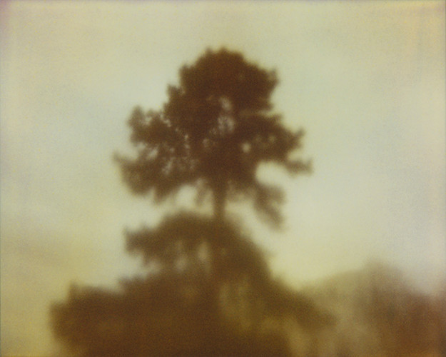 from series: PolaLand | Fine Art Print auf Aludibond | different sizes | 2012