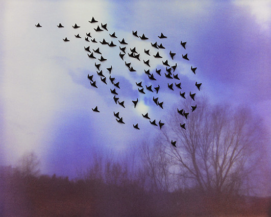 Black Birds in front of blue sun, 40x50cm, pigment print and black paper, Nr.1 von 10, 2015