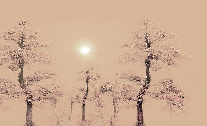 Antonius - a winters morning in Japan, Scanografie, Pigmentdruck auf Leinwand, 80x120 cm, 2014