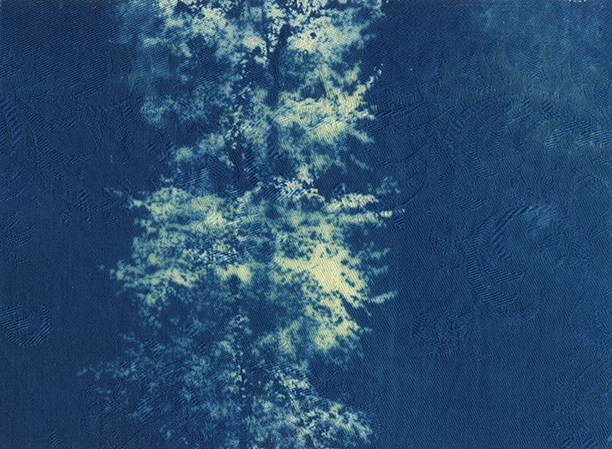 "Birthe ist anders" | Serie: Sinnliches Buffet | Cyanotypie auf Damast | 18x13 cm |  2012