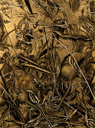 Antonius - EarthArt 3, 80x120cm, 2013