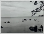 Klemens Körner | "Boddenblick" | 24,4 x 19,4 cm in 50 x 40 cm (Rahmen) | 600,-€