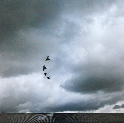 Fighting Wind, 50x50 cm, pigment print and black paper, Foto 2012 - Print 2015