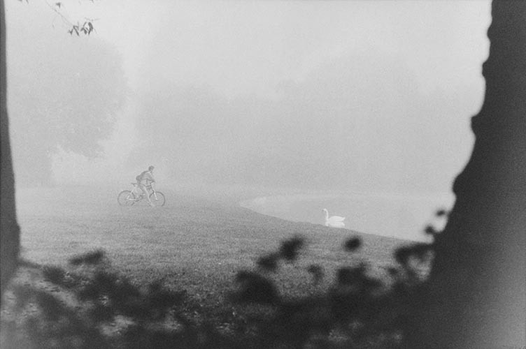 Radfahrer und Schwan | analoges Foto / Handabzug S/W | 2008 | Halle