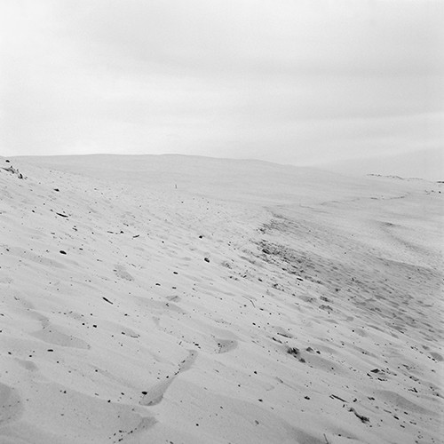 "white dune" | Fine Art Print auf Aludibond | 100x100 cm | 2012