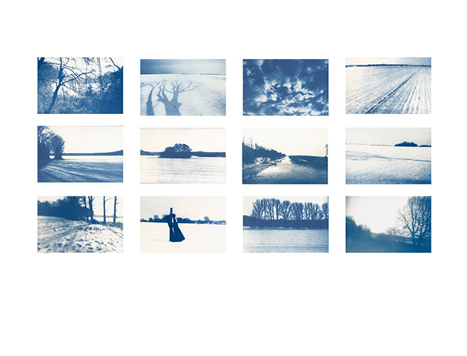 Series: pieces of nowhere | Cyanotypie auf Büttenpapier || each pic 20x30 cm | 2014 